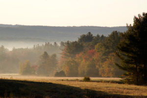 Country Backdrop