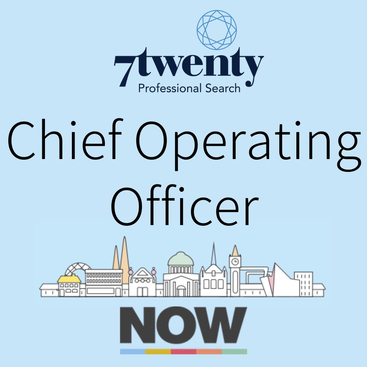 Chief Operating Officer (3)